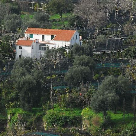 Azienda Agricola Veniero Piano di Sorrento Eksteriør bilde