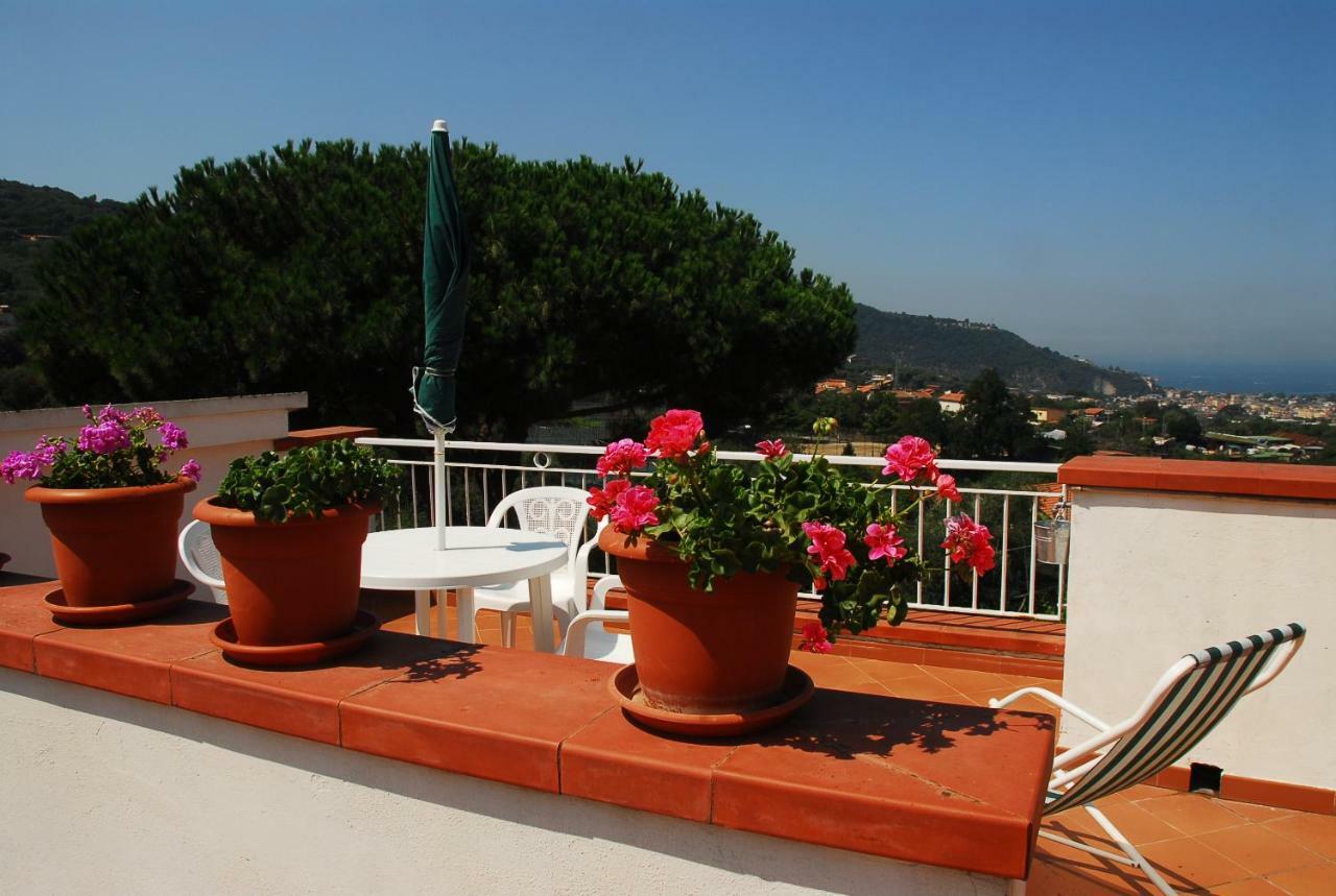Azienda Agricola Veniero Piano di Sorrento Eksteriør bilde